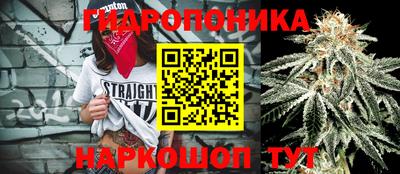 мдпв Севастополь